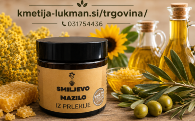 Smiljevo mazilo – zakaj mu pravijo tudi »zlato zelišče«?